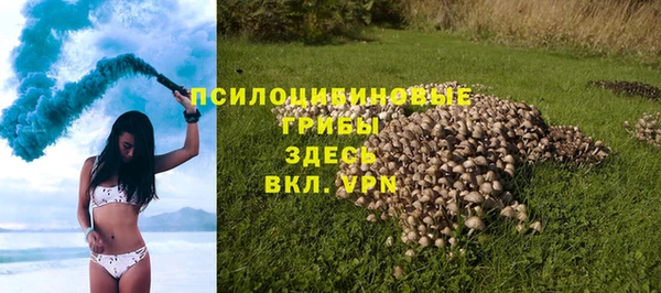 герыч Верхний Тагил