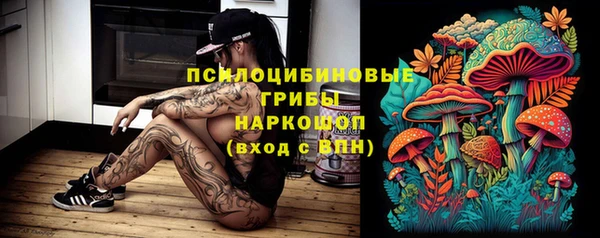 твердый Верея